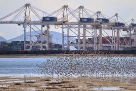 Community group shows that proposed Port of Vancouver expansion is unnecessary and will do irreparable damage to critical ecosystem